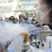 La Ciutat de les Arts i les Ciències celebra la Semana de la Ciencia con talleres gratuitos para escolares y público general