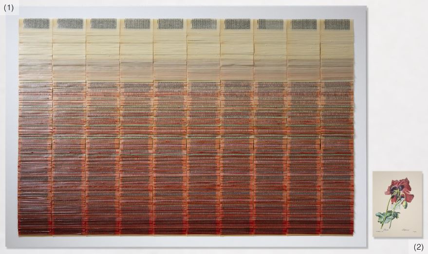 La artista Rocío Garriga gana con su obra “Sueño ligero” el premio Senyera d’Arts Visuals 2025