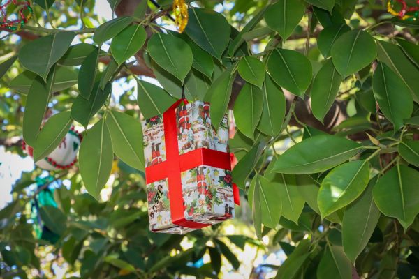 Un adorno navideño elaborado por los alumnos luce entre las ramas de los ficus de la Avenida al Vedat.