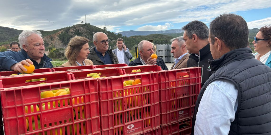 Barrachina reafirma el compromiso del Consell con las cooperativas agroalimentarias valencianas