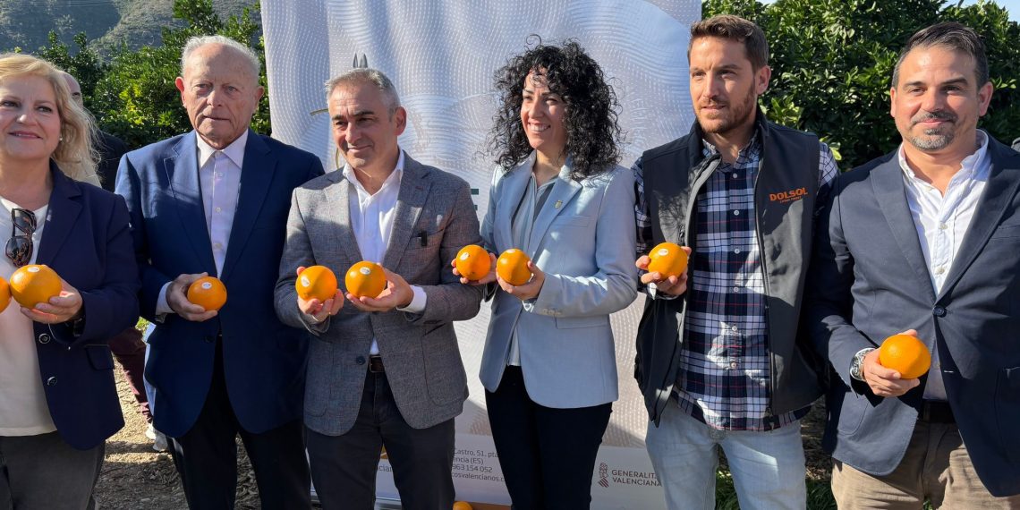 Miguel Barrachina explica que “el Plan de Reconversión beneficiará a más de 36.000 explotaciones y 148.000 hectáreas cultivadas en la Comunitat Valenciana”
