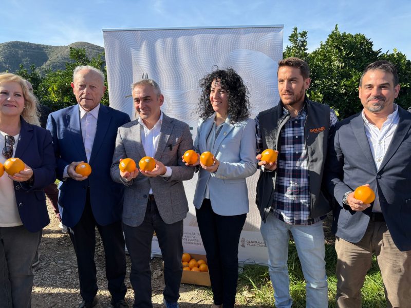 Miguel Barrachina explica que “el Plan de Reconversión beneficiará a más de 36.000 explotaciones y 148.000 hectáreas cultivadas en la Comunitat Valenciana”