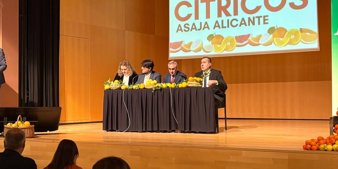 Alicante recibe más de 6 millones en ayudas para jóvenes y nuevos agricultores