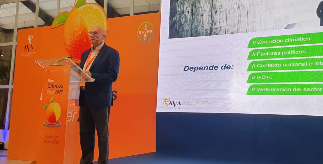 El Foro de Cítricos 2025 reúne en Valencia a más de 300 expertos para impulsar una citricultura más sostenible e innovadora
