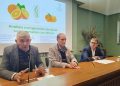 El análisis nutrigenómico confirma el impacto de los cítricos sobre la expresión génica
