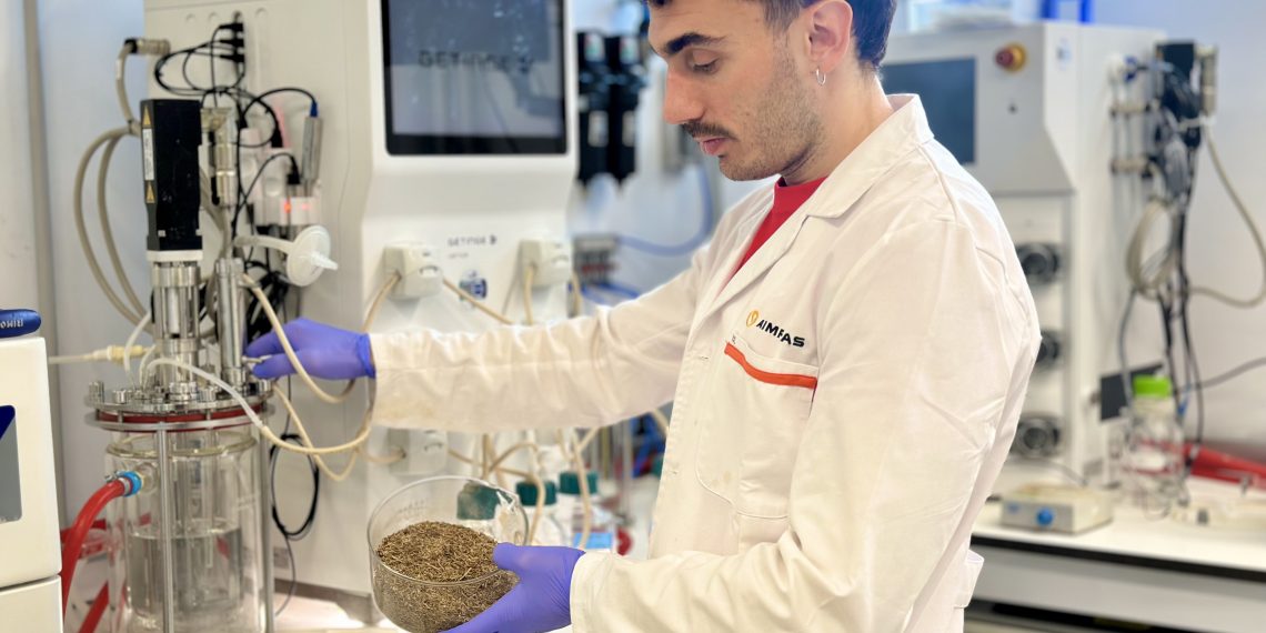 La Comunitat impulsa Biovalsa para transformar residuos agrícolas en bioplásticos sostenibles