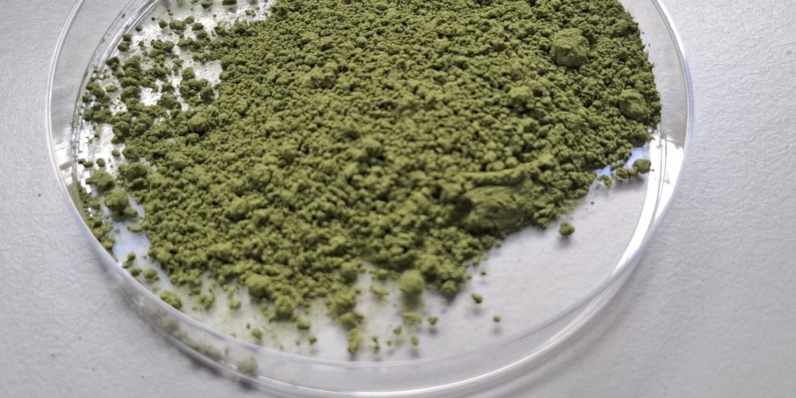 Ivace+i impulsa un proceso pionero para obtener ingredientes sostenibles a partir de algas