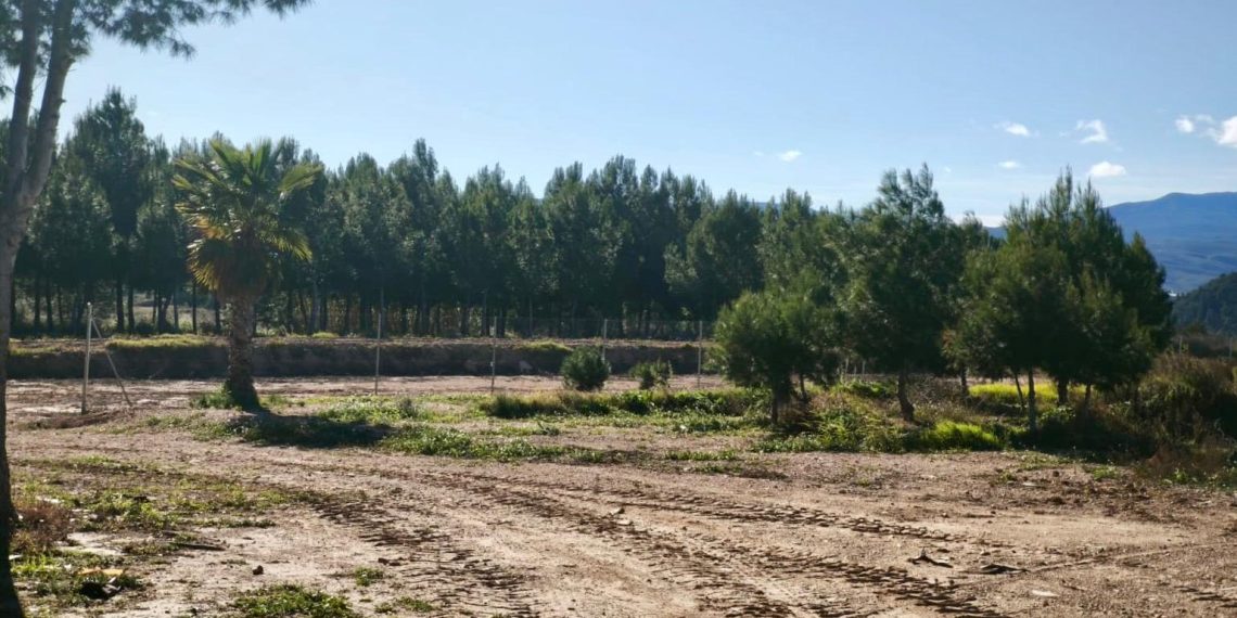 La Generalitat retira 800 toneladas de escombros procedentes de la reconstrucción en Turís y finaliza el dispositivo especial tras invertir 200.000 euros