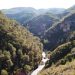 La Generalitat culmina el proyecto LIFE RedBosques_Clima para adaptar los bosques mediterráneos al cambio climático