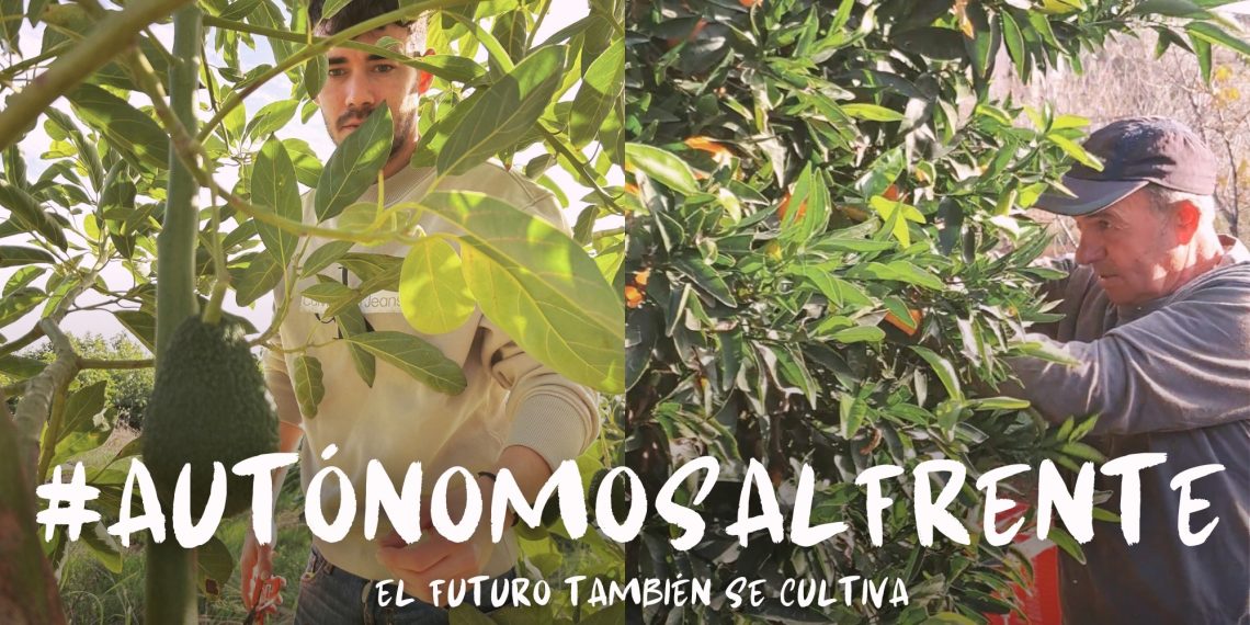 AVA-ASAJA reivindica el papel esencial de los autónomos agrarios valencianos