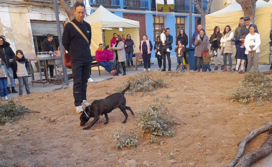 Chelva celebra este sábado su IV Feria de la Trufa Valenciana
