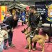 El stand de las Fuerzas Armadas en ExpoJove, uno de los espacios más visitados por el público joven.