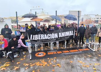 Nueva movilización ciudadana en Valencia contra el circo con animales