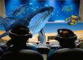 Oceanogràfic, INMERSIÓN, realidad mixta, experiencia inmersiva, ballenas, Auditorio Mar Rojo, Valencia, tecnología, Spatial Voyagers, Meta Quest 3