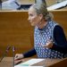 Teresa Ramírez (VOX) durante la presentación de las propuestas fiscales del grupo parlamentario.
