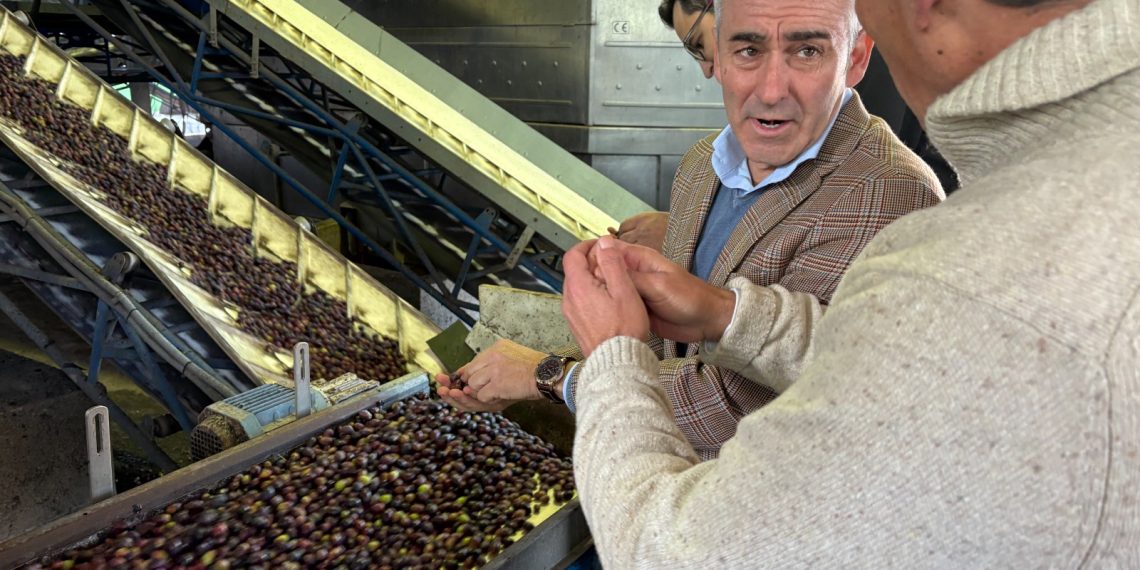La Generalitat refuerza el cooperativismo agroalimentario valenciano con nuevas ayudas y medidas estructurales