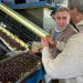 La Generalitat refuerza el cooperativismo agroalimentario valenciano con nuevas ayudas y medidas estructurales