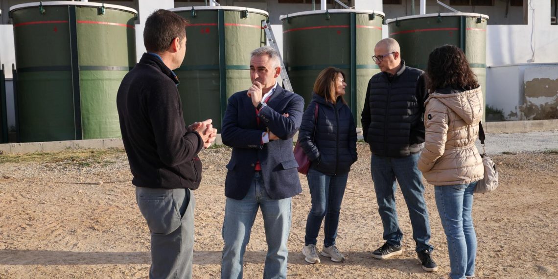 Barrachina amplía las ayudas para reforzar la bioseguridad y proteger al sector porcino