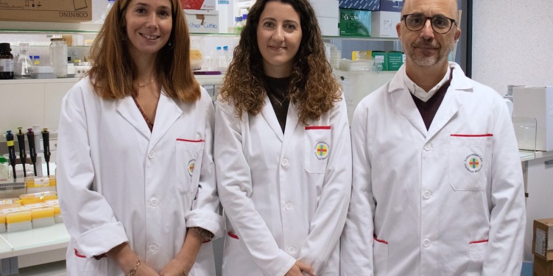 Un estudio de la CEU UCH identifica el papel clave del gen Rnd3 en la migración neuronal