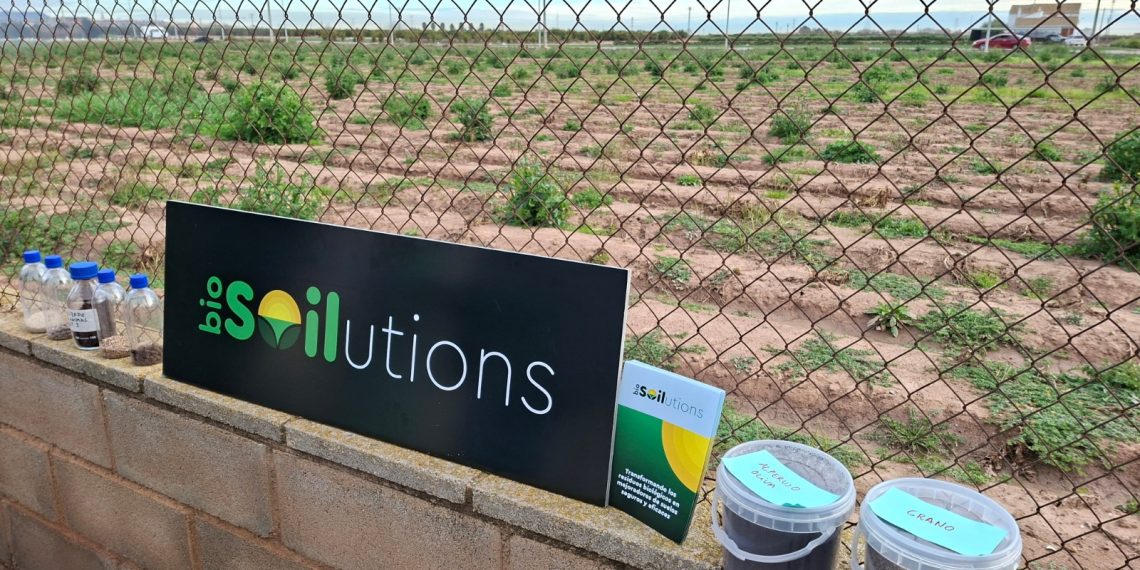 Valencia impulsa fertilizantes sostenibles a partir de residuos orgánicos en la huerta