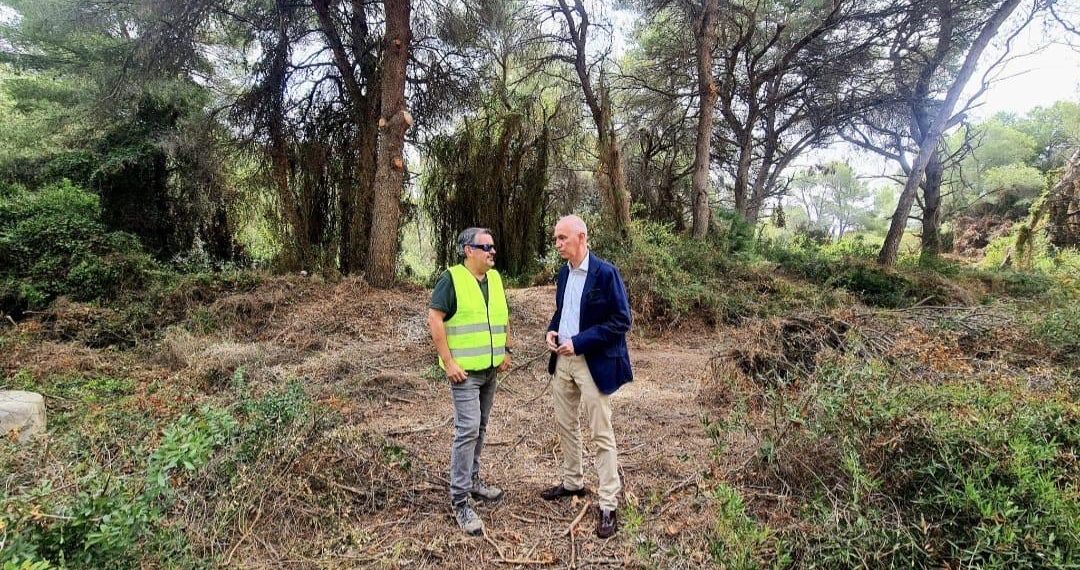 Valencia pide a la Generalitat intensificar el control de jabalíes en la Devesa del Saler para garantizar la seguridad vecinal
