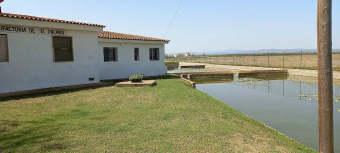 La Generalitat refuerza las infraestructuras del Centro Acuícola de El Palmar para prevenir daños ante futuros episodios climáticos extremos