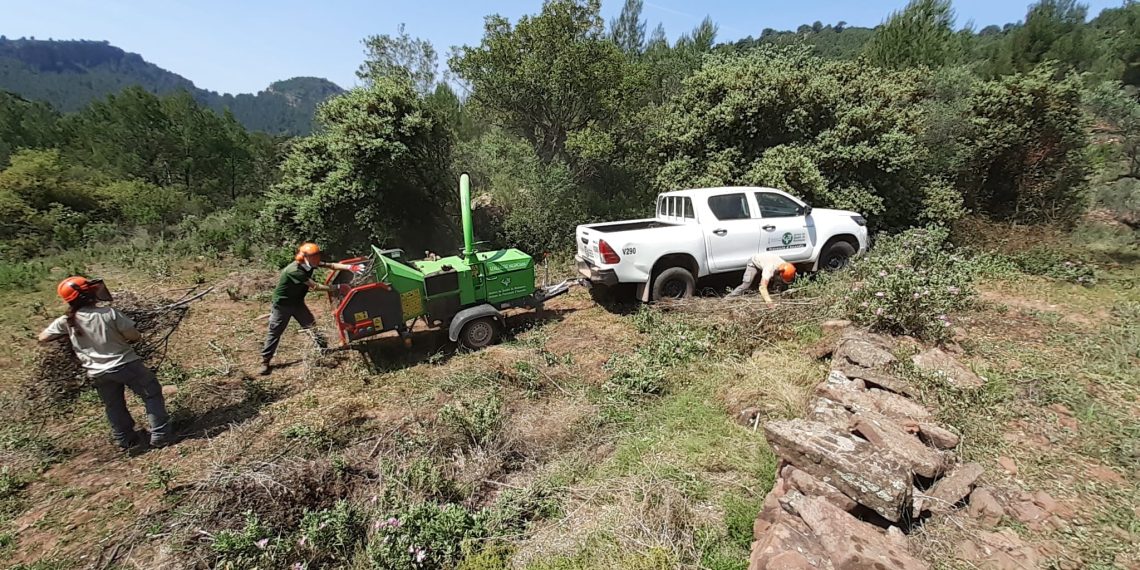 La Generalitat refuerza la prevención de incendios forestales con trabajos de mantenimiento hasta mayo