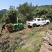 La Generalitat refuerza la prevención de incendios forestales con trabajos de mantenimiento hasta mayo