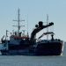La Generalitat finalizará en febrero el dragado del puerto de Cullera para recuperar su calado y reforzar la seguridad