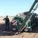 LA UNIÓ pide a Conselleria de Agricultura un estudio para analizar la preocupante bajada de rendimientos en el cultivo de la chufa