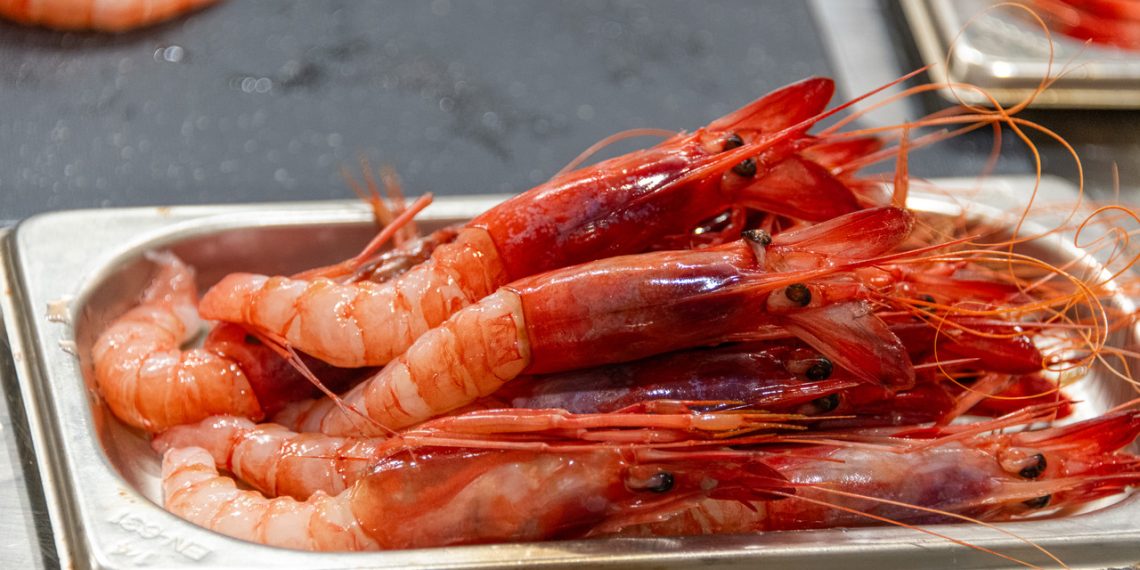La creatividad culinaria vuelve a medirse en Dénia con la gamba roja como protagonista