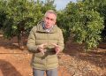 Agricultura elimina tasas clave en sanidad vegetal para liberar al agricultor de ‘peajes administrativos’, reducir burocracia y aliviar costes