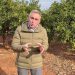 Agricultura elimina tasas clave en sanidad vegetal para liberar al agricultor de ‘peajes administrativos’, reducir burocracia y aliviar costes