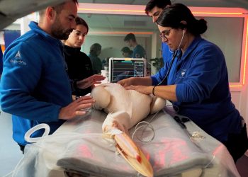 El Oceanogràfic de Valencia y la Universidad CEU Cardenal Herrera impulsan el primer máster en Medicina de Fauna Acuática