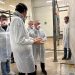 La Generalitat destina más de 39 millones de euros a sanidad vegetal para proteger la agricultura valenciana