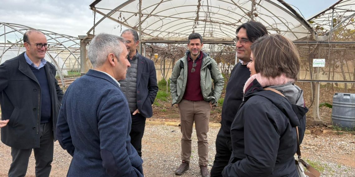 Barrachina defiende la investigación y el relevo generacional como pilares de una citricultura rentable y con futuro
