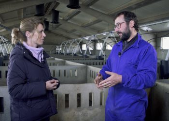 ‘Zoom’ analiza las pérdidas económicas de la peste porcina y la gripe aviar