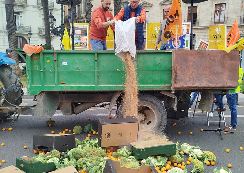 Más de 2.000 agricultores y 200 tractores reclaman en Valencia “un futuro para el campo y la soberanía alimentaria”