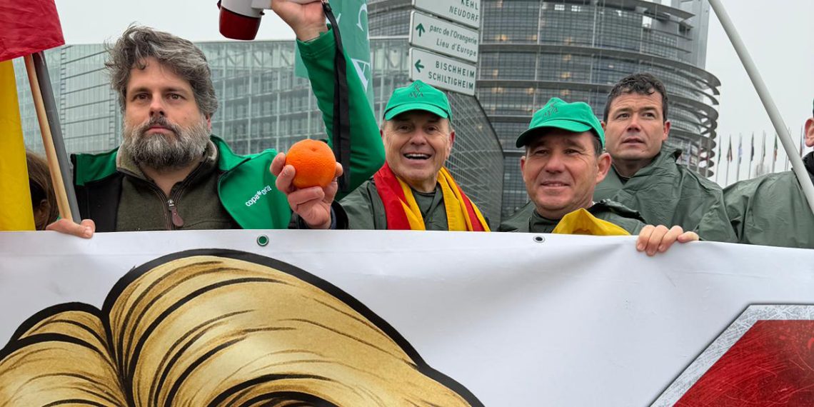 AVA-ASAJA celebra el control jurídico del acuerdo UE-Mercosur aprobado por el Parlamento Europeo
