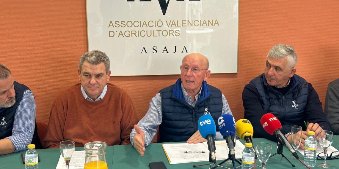 AVA-ASAJA cuantifica en 340 millones las pérdidas de un año agrario 2025 “muy difícil”