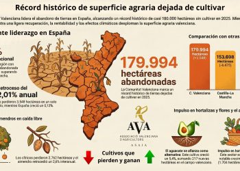 La C. Valenciana deja de cultivar 3.548 hectáreas en 2025 y bate el récord histórico de 180.000 hectáreas abandonadas