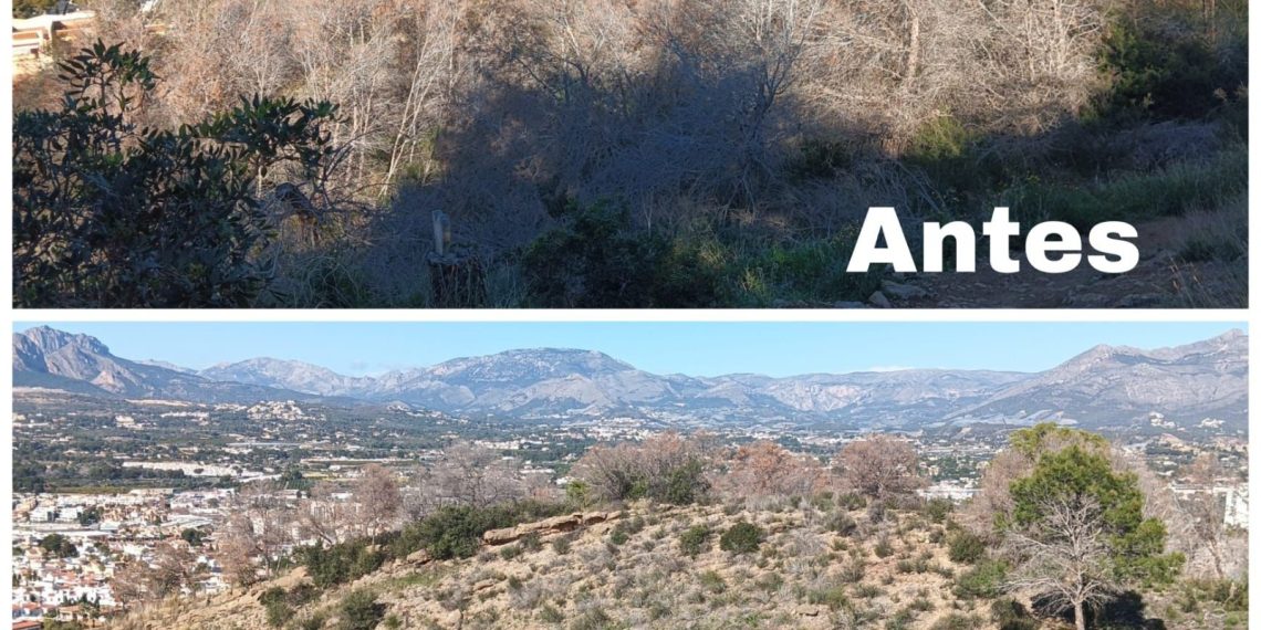 La Generalitat retira pinos secos en Serra Gelada para prevenir riesgos forestales