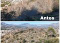 La Generalitat retira pinos secos en Serra Gelada para prevenir riesgos forestales