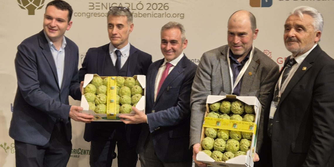 El Consell impulsa la Alcachofa de Benicarló como motor de valor para el territorio