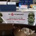 Valencia alza la voz contra el uso de niños soldado