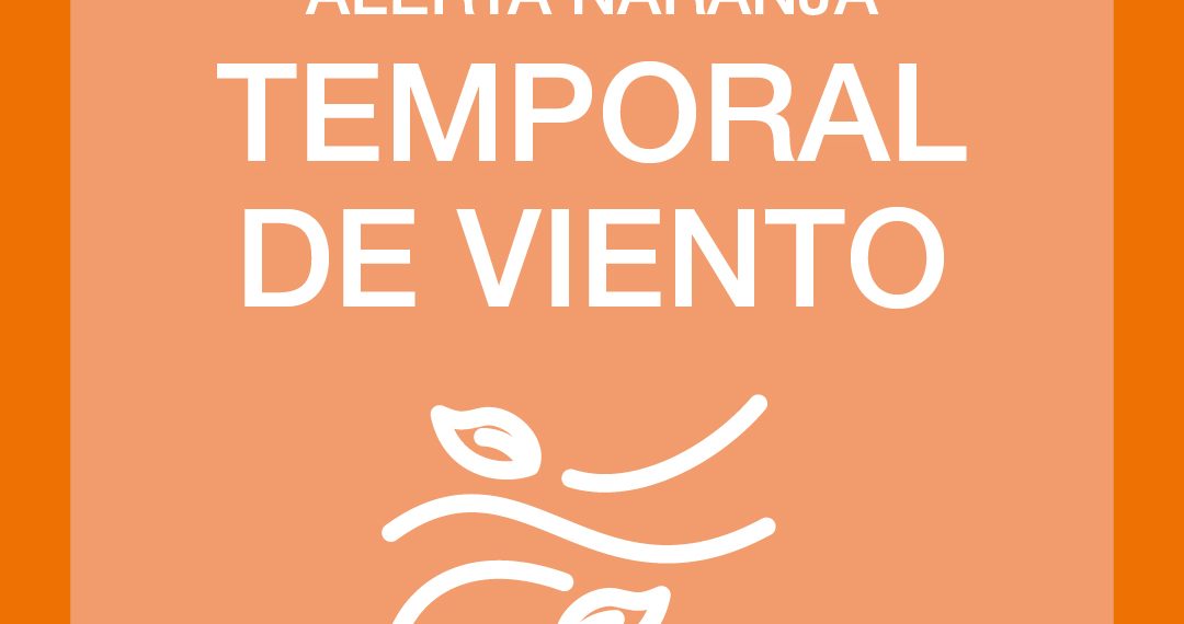 El Ayuntamiento suspende la celebración del Año Nuevo Chino y otras actividades al aire libre por la alerta naranja por el viento