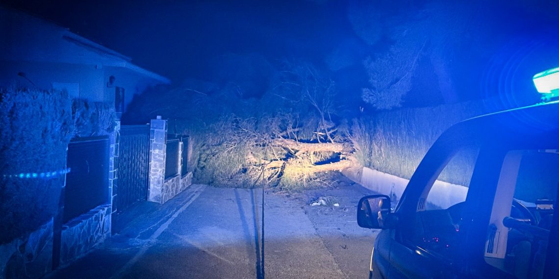Hasta 95,4 km/h: el viento causa 16 incidencias en Torrent durante la pasada noche