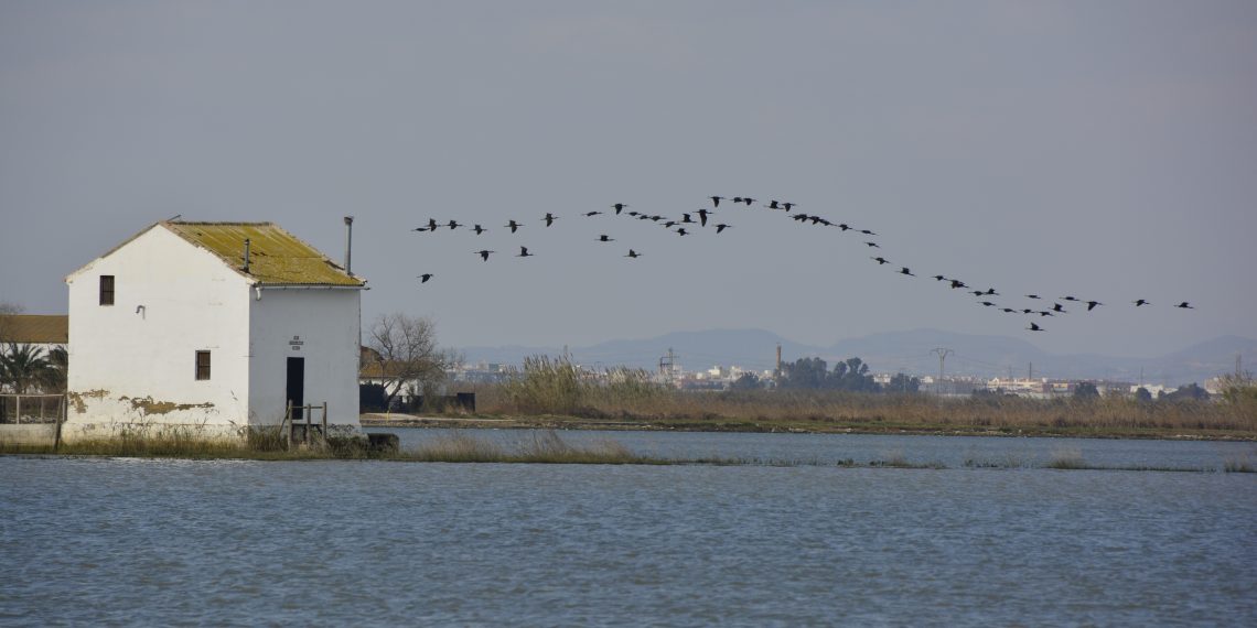 Mucho más que una obra: La Generalitat se vuelca con la reconstrucción