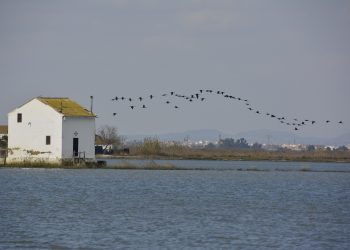 Mucho más que una obra: La Generalitat se vuelca con la reconstrucción