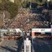 El 10K Valencia supera los 10.000 inscritos en el día de apertura
